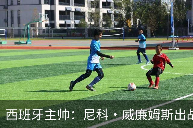 西班牙主帅：尼科·威廉姆斯出战存疑 皮诺或缺席剩余比赛