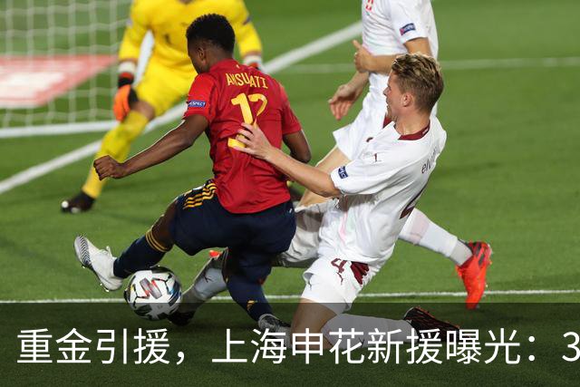 重金引援，上海申花新援曝光：31岁国脚豪门后卫，报价2000万